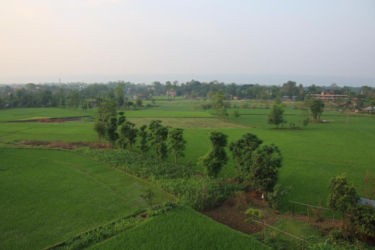 Sweet Home Chitwan Extérieur photo